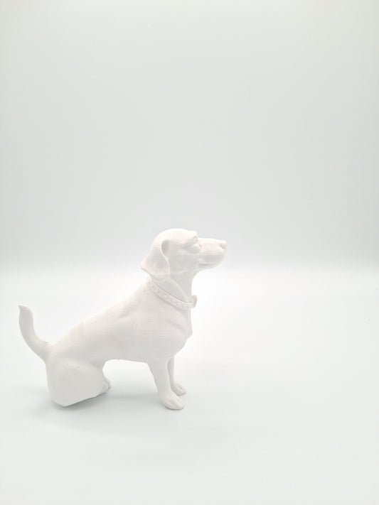 CUSTOM PET 3D PRINT