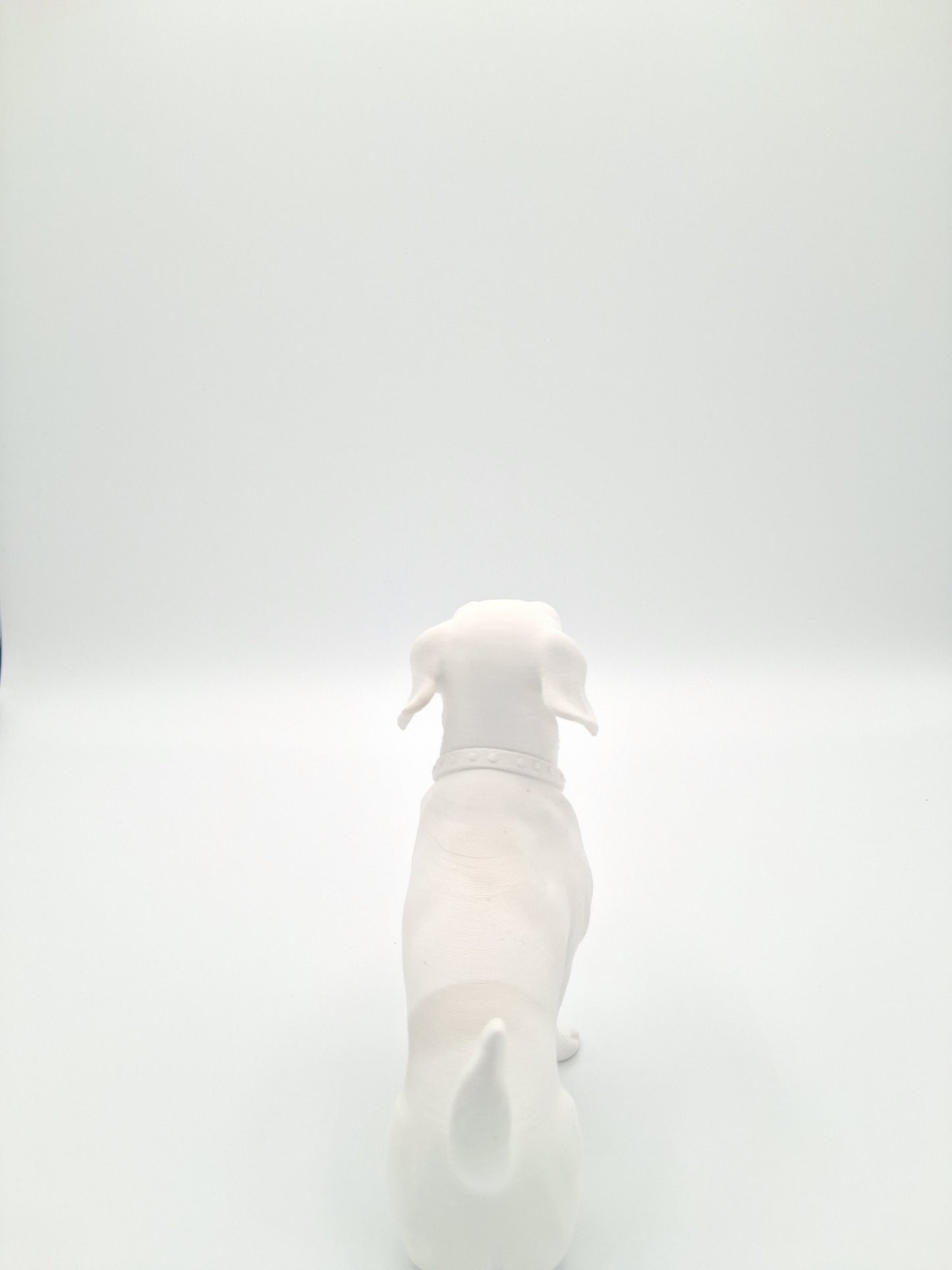 CUSTOM PET 3D PRINT