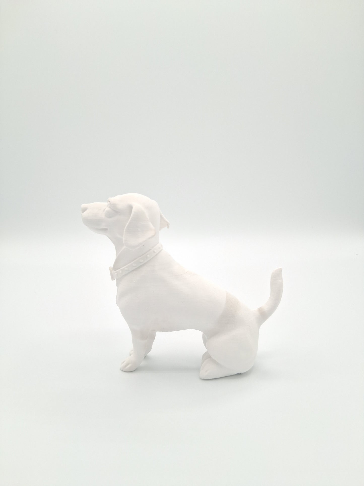 CUSTOM PET 3D PRINT