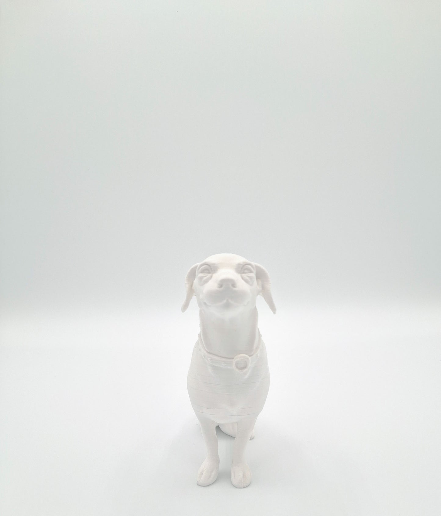 CUSTOM PET 3D PRINT
