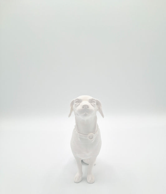 CUSTOM PET 3D PRINT